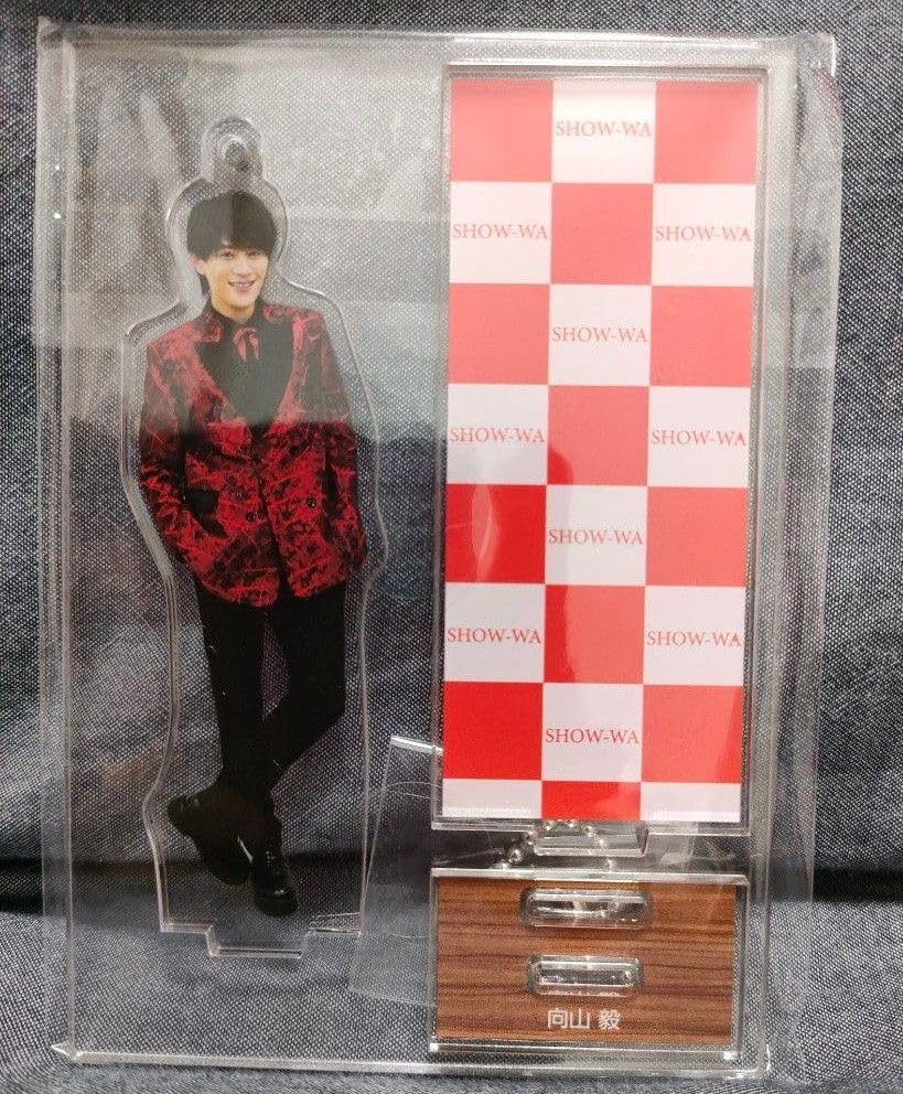 Amazon.co.jp: SHOW-WA 向山毅 アクスタ アクリルスタンド たけちゃん